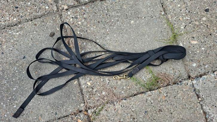 Lange lijn voor hond - 10 meter, Dieren en Toebehoren, Hondenriemen, Gebruikt, Hondenriem, Ophalen of Verzenden