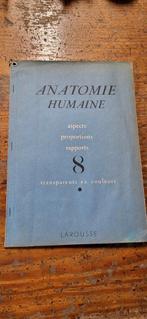 Oud Anatomie boek met platen van Man & Vrouw, Ophalen of Verzenden