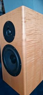 Totem Tabù monitor, Audio, Tv en Foto, Luidsprekers, Zo goed als nieuw, Minder dan 60 watt, Front, Rear of Stereo speakers, Ophalen