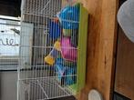 Hamsterkooi, Dieren en Toebehoren, Knaagdieren en Konijnen | Hokken en Kooien, Minder dan 60 cm, Kooi, Minder dan 75 cm, Ophalen of Verzenden