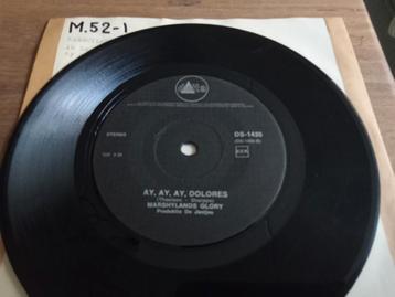 AY AY DOLORUS ORGINELE PIRATEN TOPPER MARSCHYLANDS GLORY  beschikbaar voor biedingen