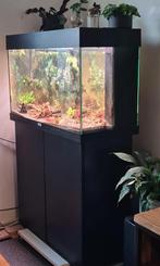 Juwel rio 180 top staat, Dieren en Toebehoren, Vissen | Aquaria en Toebehoren, Ophalen of Verzenden, Zo goed als nieuw, Leeg aquarium