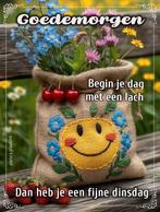 4 kippen gratis af te halen, Dieren en Toebehoren, Januari, Vrouwelijk