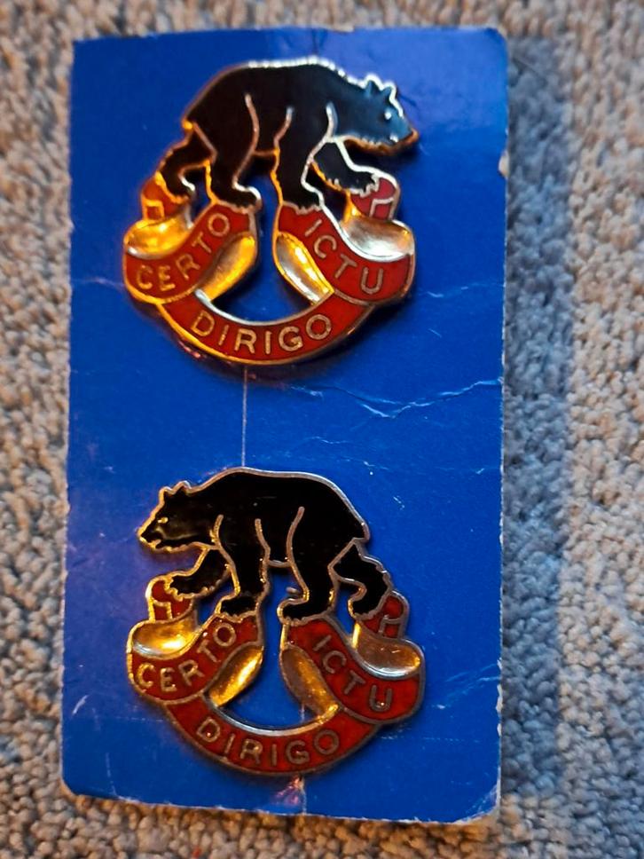 US 6th Air Defense Artillery Pin - Zwarte Beer, Verzamelen, Militaria | Algemeen, Landmacht, Embleem of Badge, Amerika, Ophalen of Verzenden