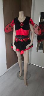 Lieveheersbeestje kostuum jurk - Maat L, Carnaval, Maison vd Hoogen, Maat 42/44 (L), Ophalen of Verzenden
