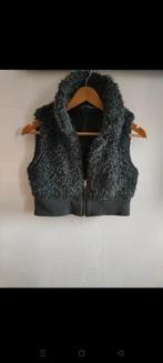Bodywarmer half, Ophalen of Verzenden, Zo goed als nieuw, Maat 36 (S)