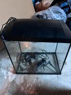 Aquarium, Dieren en Toebehoren, Vissen | Aquaria en Toebehoren, Ophalen, Zo goed als nieuw, Leeg aquarium