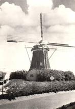 Arnemuiden Molenzicht 'Nooit gedacht' 1978, Verzamelen, Ansichtkaarten | Nederland, Verzenden, 1960 tot 1980, Ongelopen, Zeeland