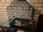 Vogelkooi op wieltjes., Dieren en Toebehoren, Vogels | Hokken en Kooien, Ophalen, Gebruikt, Metaal, Vogelkooi