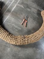 Kopleguaan, Ophalen of Verzenden, Nieuw