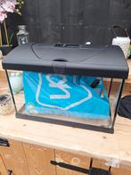 Aquarium, Dieren en Toebehoren, Vissen | Aquaria en Toebehoren, Ophalen of Verzenden, Leeg aquarium