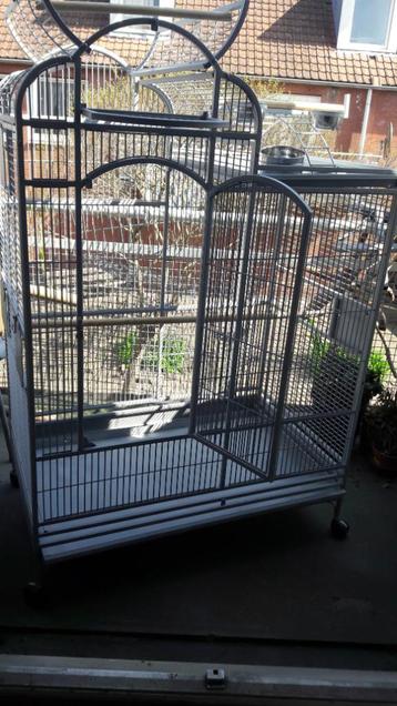 grote vogels kooi beschikbaar voor biedingen