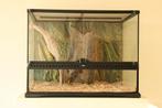 Terrarium voor reptielen of slangen, Ophalen, Zo goed als nieuw