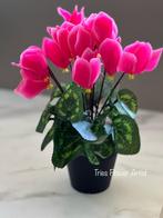 Zijden kunst Cyclaam Nieuw, Binnen, Triesflowerartist@outlook.com, Verzenden, Nieuw