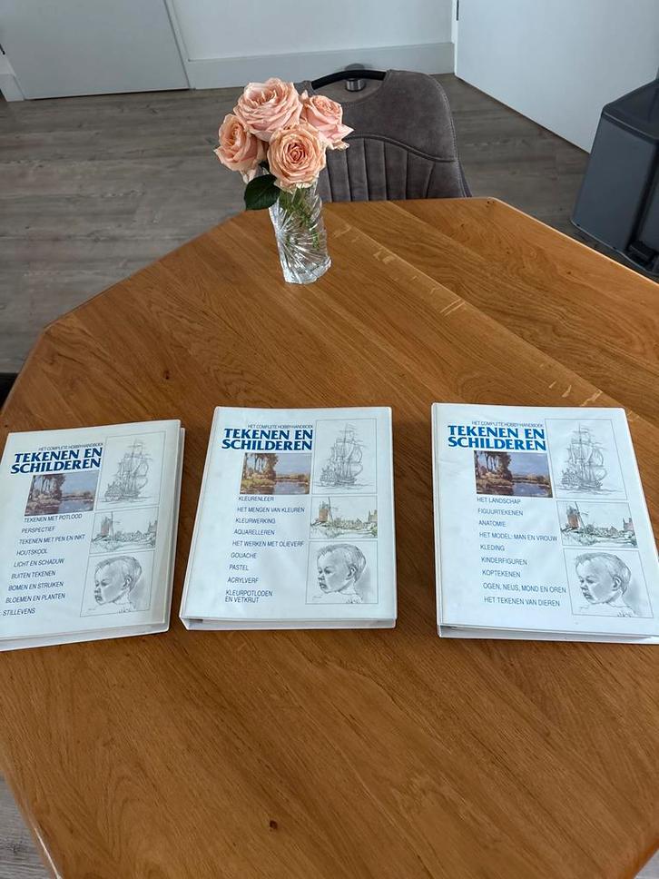 Tekenen en Schilderen - Complete Hobby-Handboeken, Boeken, Hobby en Vrije tijd, Gelezen, Tekenen en Schilderen, Geschikt voor kinderen