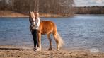 Lease pony, Diensten en Vakmensen, Dieren | Paarden | Verzorging, Oppas en Les, Ruiter of Bijrijder