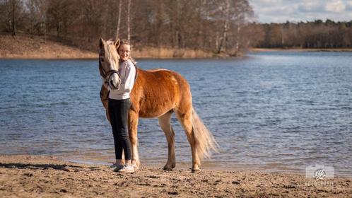 Lease pony, Diensten en Vakmensen, Dieren | Paarden | Verzorging, Oppas en Les, Paardrijles of Ponykampen, Ruiter of Bijrijder