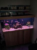 Aquaria stennen, Ophalen, Leeg aquarium