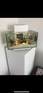 Aquarium, Dieren en Toebehoren, Ophalen, Leeg aquarium