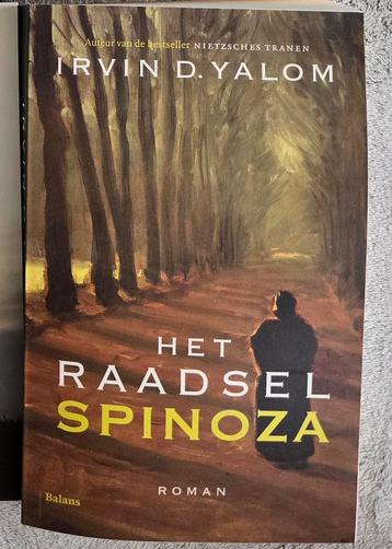 Het raadsel van Spinoza - Irvin D. Yalom beschikbaar voor biedingen