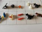 Playmobil dieren papegaai uil schildpad eekhoorn, Gebruikt, Ophalen of Verzenden, Los playmobil