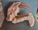 Thylacosmilus Sabeltand Replica, Verzamelen, Ophalen of Verzenden, Fossiel