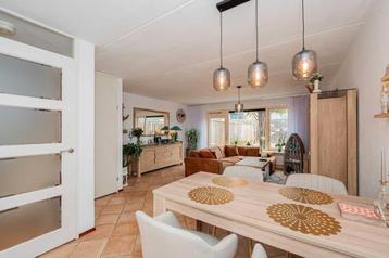 Hanglampen eetkamer + woonkamer  beschikbaar voor biedingen