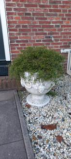 Brocante, oude tuinvazen, Tuin en Terras, Steen, Gebruikt, Minder dan 60 cm, Overige vormen