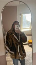Nieuw: Beaumont jas dames maat S/36, Kleding | Dames, Jassen | Winter, Ophalen of Verzenden, Nieuw, Maat 38/40 (M)