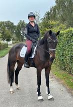 Talentvolle 4 jarige dressuur merrie, Dieren en Toebehoren, Paarden, Merrie, B, Gechipt, Dressuurpaard