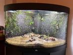 Juwel trigion hoek aquarium 190L - MOET WEG, Dieren en Toebehoren, Ophalen, Zo goed als nieuw, Leeg aquarium