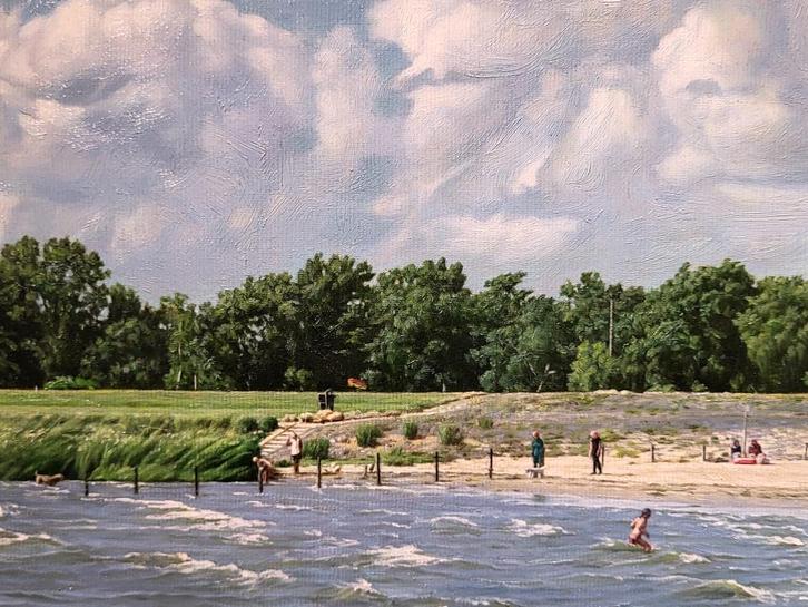 Strand bij Lemmer, olieverf, 35x90cm doekmaat, 1350,- euro, Antiek en Kunst, Kunst | Schilderijen | Klassiek, Ophalen of Verzenden