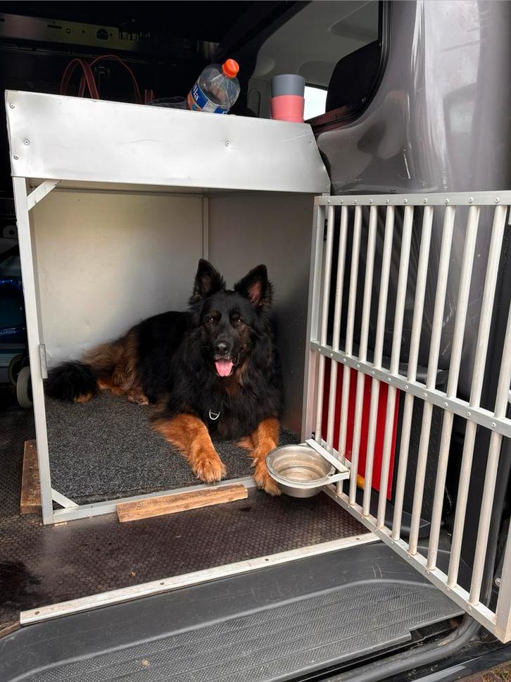 Auto Bench, Dieren en Toebehoren, Hondenhokken, Gebruikt, Hondenkennel, 65 tot 100 cm, 75 tot 110 cm, Ophalen