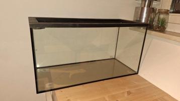 Aquariumbak / hamsterverblijf beschikbaar voor biedingen