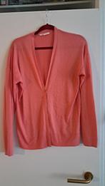 vestje, Maat 46/48 (XL) of groter, Ophalen of Verzenden, Zo goed als nieuw, Roze