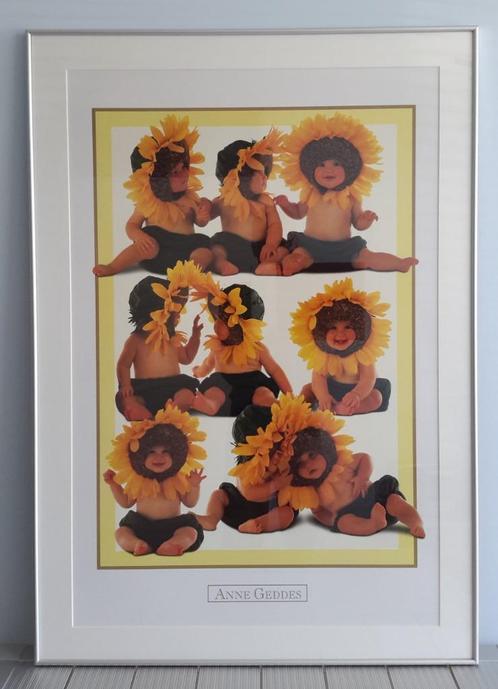 ANNE GEDDES BABY ZONNEBLOEM POSTER IN LIJST ALUMINIUM GLAS, Kinderen en Baby's, Overige Kinderen en Baby's, Zo goed als nieuw
