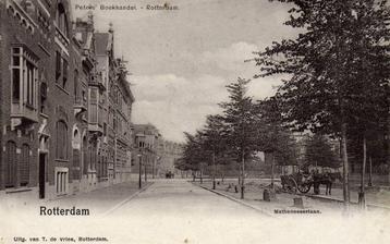 Rotterdam - Mathenesserlaan.- paard en wagen - 1901 gelopen beschikbaar voor biedingen
