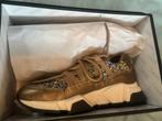 DW/RS dames sneakers met glitters, Bruin, Nieuw, Ophalen of Verzenden, Sneakers of Gympen