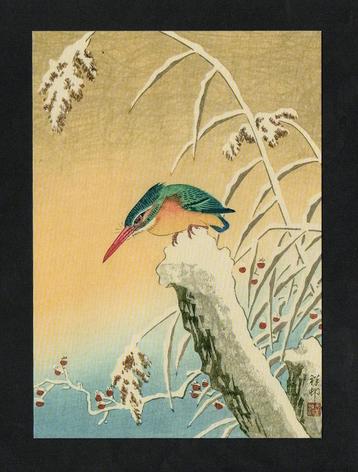 IJsvogel op Boomstam in de Winter Riet Kingfisher. beschikbaar voor biedingen