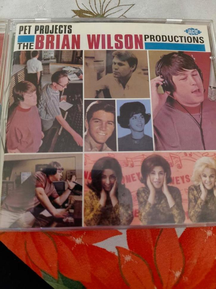 Pet Projects - The Brian Wilson Productions CD, Cd's en Dvd's, Cd's | Overige Cd's, Zo goed als nieuw, Ophalen of Verzenden
