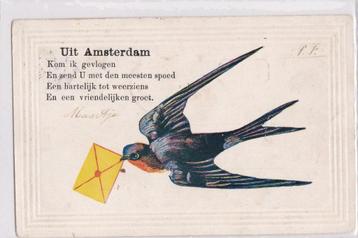amsterdam   1905  groet uit beschikbaar voor biedingen
