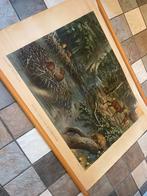 Vintage schoolplaat landkaart, Ophalen of Verzenden, Aardrijkskunde