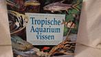 Tropische aquariumvissen, Dieren en Toebehoren, Vis