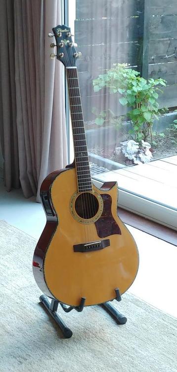 20XX Uniek! Peerless RC-42 PU cutaway + Fishman PREFIX  beschikbaar voor biedingen