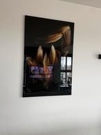 Glas portret Wallfield feathers - Interesse?, Ophalen of Verzenden