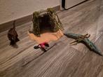 Schleich dinosaurus rots met 3 dino's, Kinderen en Baby's, Speelgoed | Actiefiguren, Ophalen of Verzenden, Zo goed als nieuw