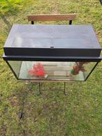 te koop een mooie visbak voor 35 euro, Ophalen, Zo goed als nieuw, Leeg aquarium