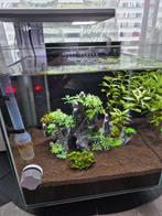 Aquarium inclusief toebehoren, Dieren en Toebehoren, Vissen | Aquaria en Toebehoren, Ophalen, Nieuw