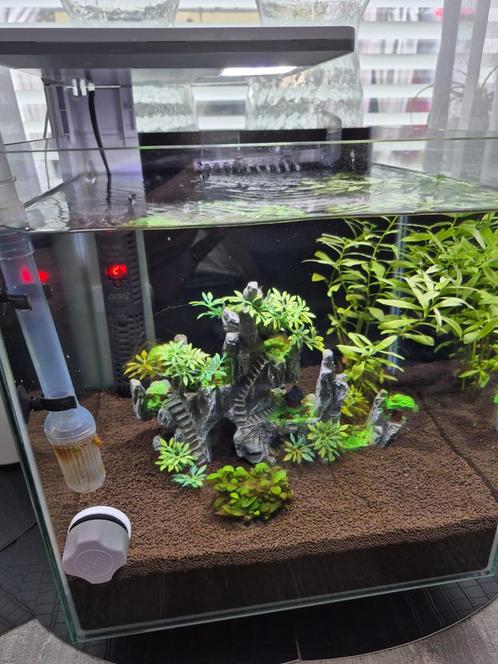 Aquarium inclusief toebehoren, Dieren en Toebehoren, Vissen | Aquaria en Toebehoren, Nieuw, Ophalen
