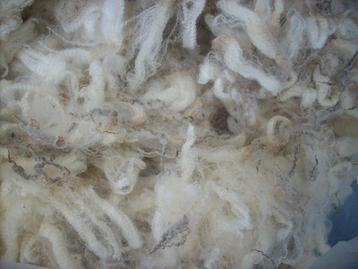 witecru beige schapenwol spinnewiel spinnenwiel spinnen vilt beschikbaar voor biedingen